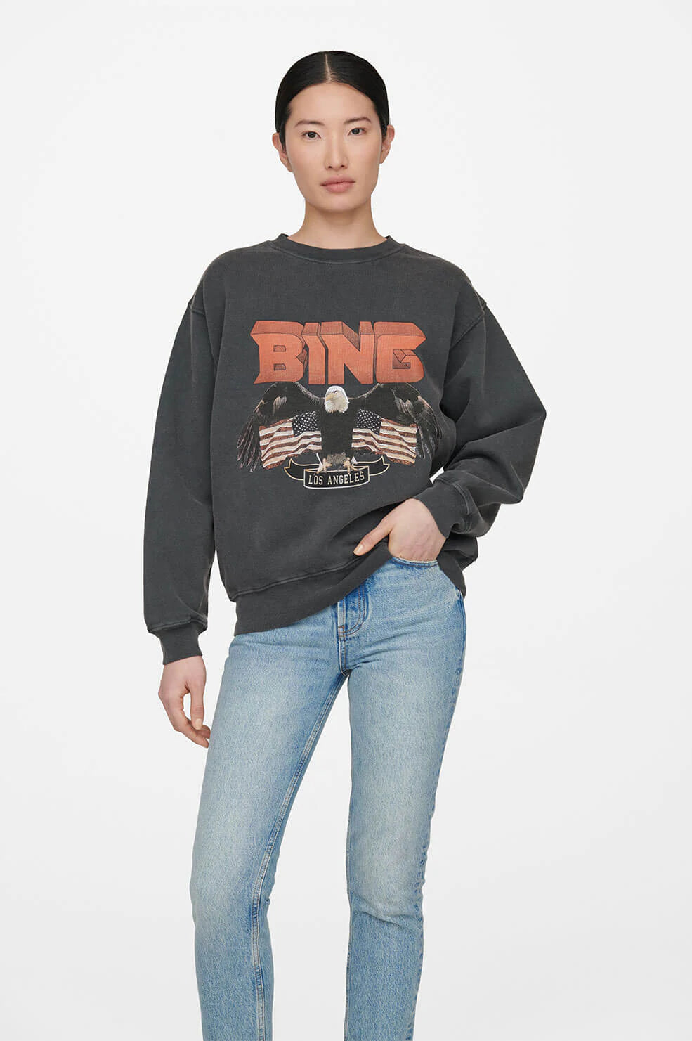 Anine bing vintage bing sweatshirt sale